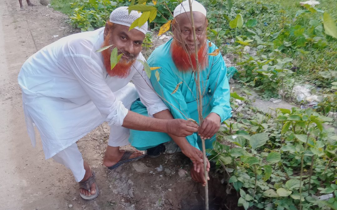 Tree Plantation Program Beside The Road